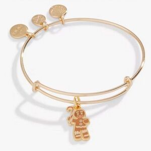 🤎ALEX AND ANI🤎SHREK, GINGY Charm Bangle in Shiny Gold/NWOT
